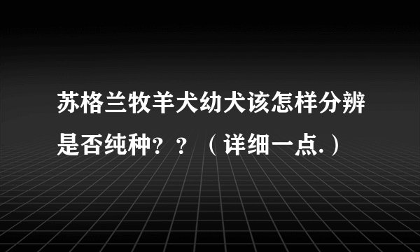苏格兰牧羊犬幼犬该怎样分辨是否纯种？？（详细一点.）