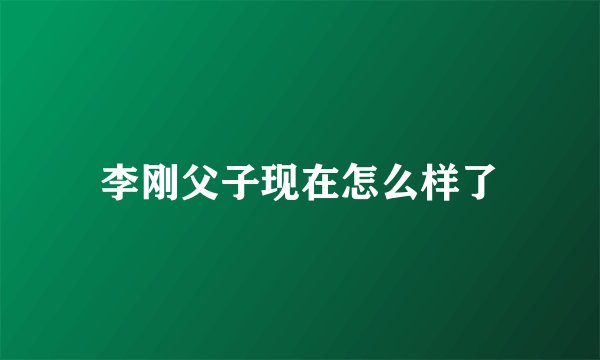 李刚父子现在怎么样了