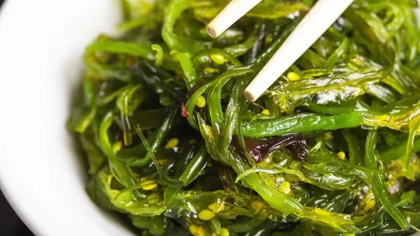 甲减吃什么食物好