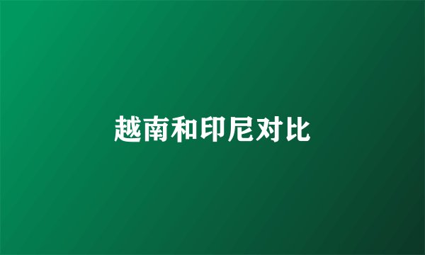 越南和印尼对比