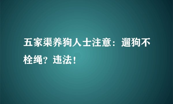 五家渠养狗人士注意：遛狗不栓绳？违法！