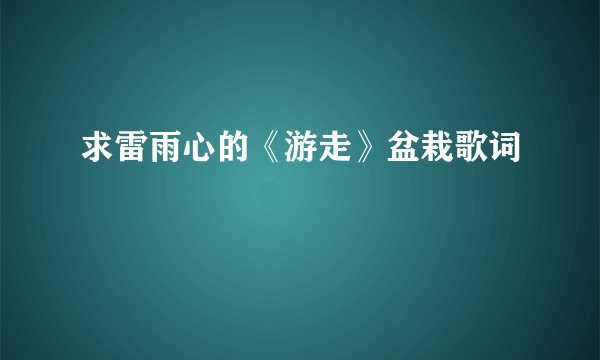 求雷雨心的《游走》盆栽歌词