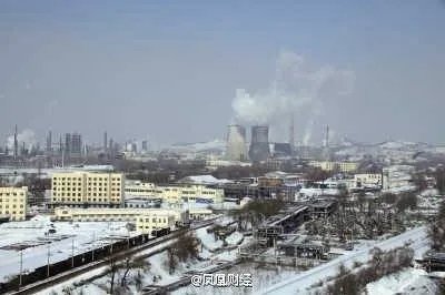 新东北现象的介绍