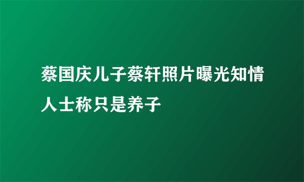 蔡国庆儿子蔡轩照片曝光知情人士称只是养子