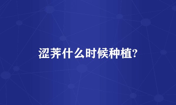 涩荠什么时候种植?
