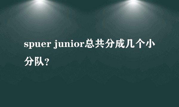spuer junior总共分成几个小分队？