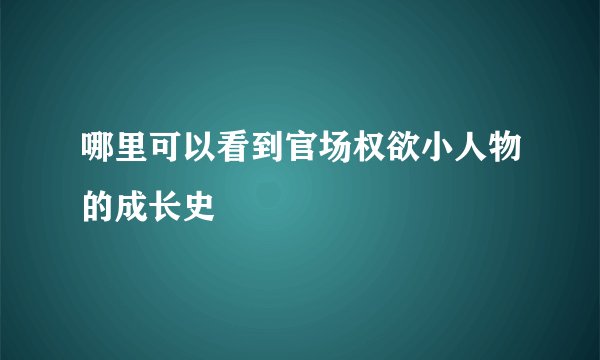 哪里可以看到官场权欲小人物的成长史