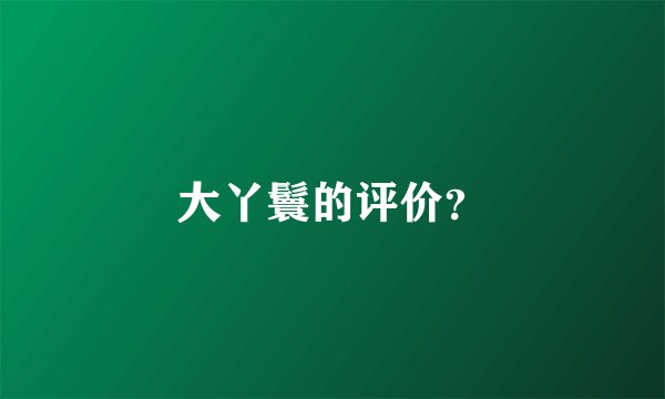 大丫鬟的评价？