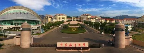 在山东省,排名前15的大学分别是哪些?