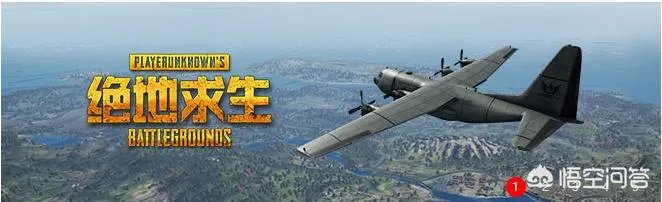 中国玩家养活了《绝地求生》这句话对吗?