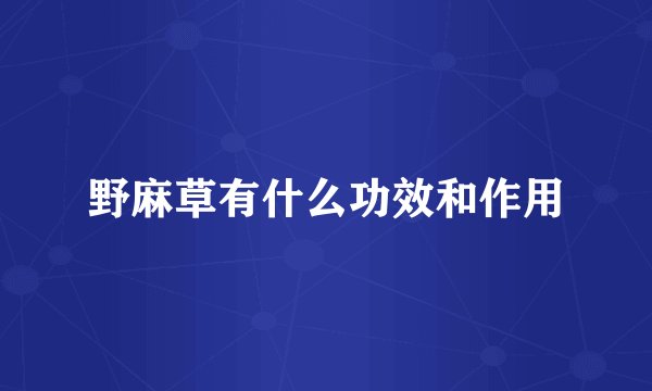 野麻草有什么功效和作用