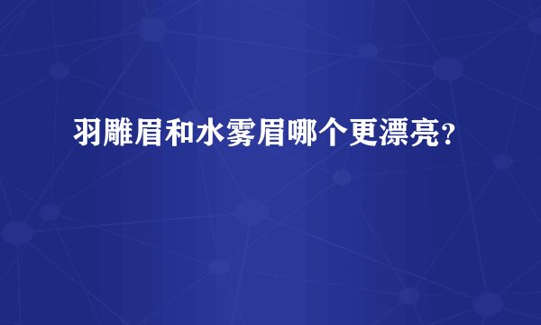 羽雕眉和水雾眉哪个更漂亮？