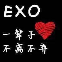 exo咆哮歌词中文与韩文是不是不一样啊