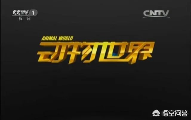 如何看待上海野生动物园逃票:一团伙收一百元让游客翻墙入园?