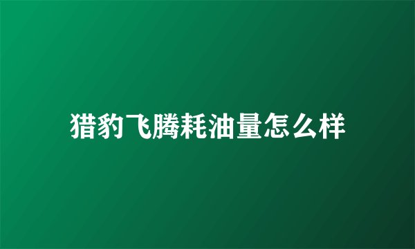 猎豹飞腾耗油量怎么样
