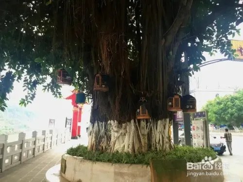 到云南河口旅游攻略