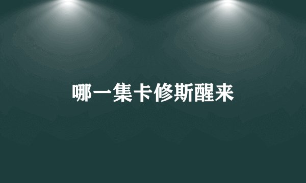 哪一集卡修斯醒来