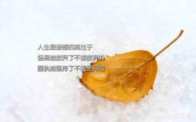 有哪些2018致自己的经典语录?