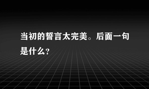 当初的誓言太完美。后面一句是什么？
