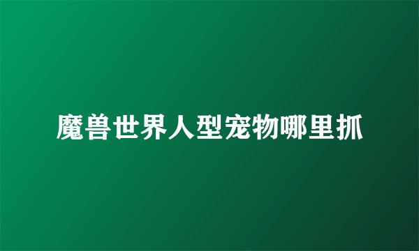 魔兽世界人型宠物哪里抓