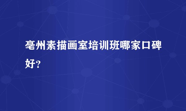 亳州素描画室培训班哪家口碑好？