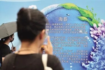 浙江温州举办骨灰联合海葬活动有何意义？