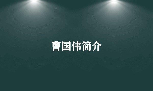 曹国伟简介
