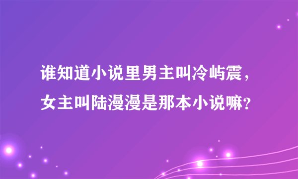 谁知道小说里男主叫冷屿震，女主叫陆漫漫是那本小说嘛？
