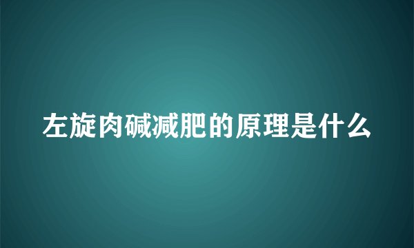 左旋肉碱减肥的原理是什么