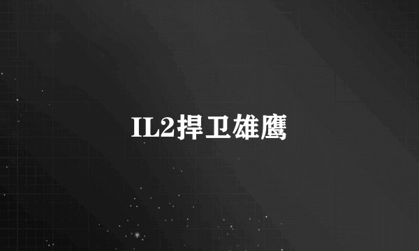 IL2捍卫雄鹰