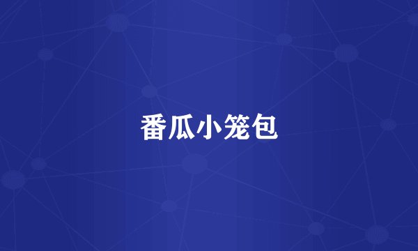 番瓜小笼包