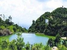 观音山有何景点?