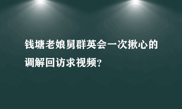 钱塘老娘舅群英会一次揪心的调解回访求视频？