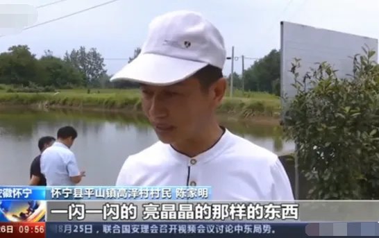 安徽怀宁一池塘现大量桃花水母了？