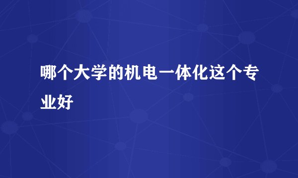 哪个大学的机电一体化这个专业好