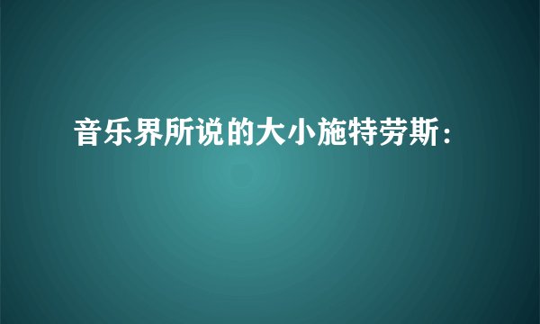 音乐界所说的大小施特劳斯：