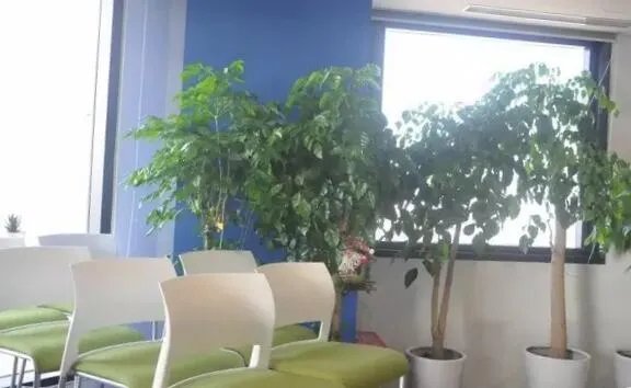 益涂入驻希尔顿酒店管理(上海)有限公司