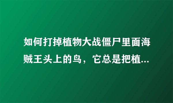 如何打掉植物大战僵尸里面海贼王头上的鸟，它总是把植物叼走，谢？