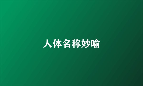 人体名称妙喻