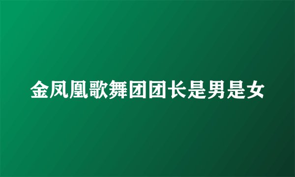 金凤凰歌舞团团长是男是女