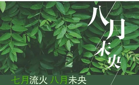 八月未央是什么意思?