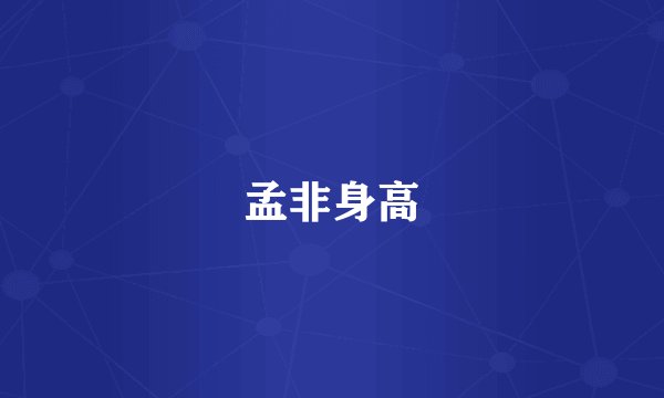 孟非身高