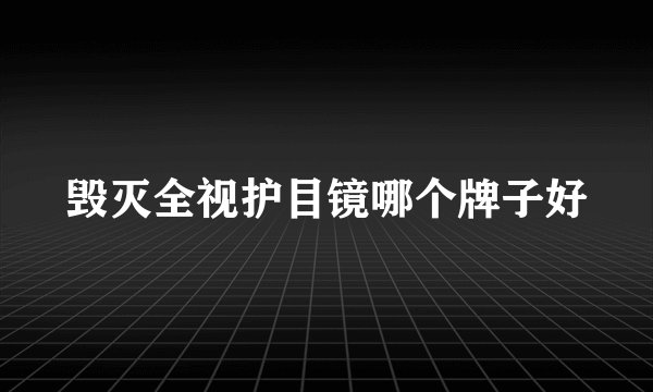 毁灭全视护目镜哪个牌子好