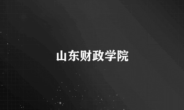 山东财政学院