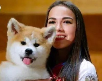 日本为何又送俄罗斯秋田犬?