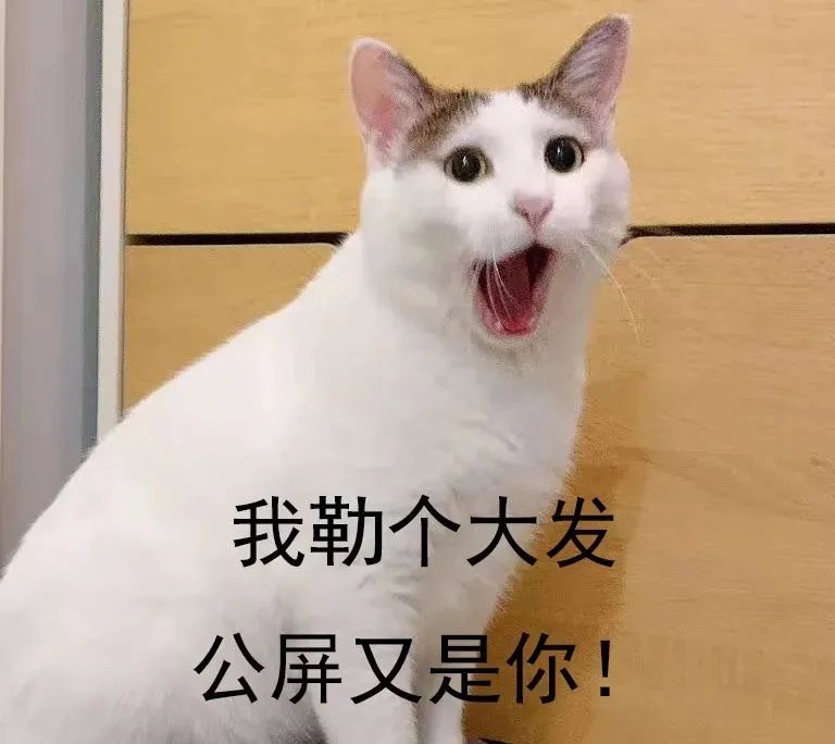 双11狂欢升级!2019猫晚顾家又C位全场了!