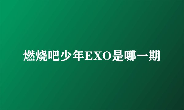 燃烧吧少年EXO是哪一期