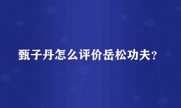 甄子丹怎么评价岳松功夫？