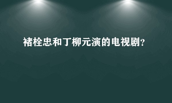 褚栓忠和丁柳元演的电视剧？