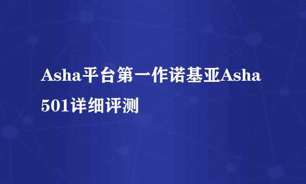 Asha平台第一作诺基亚Asha501详细评测